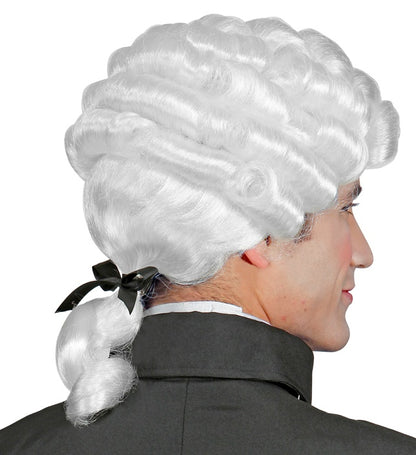 Colonial Wig In Box