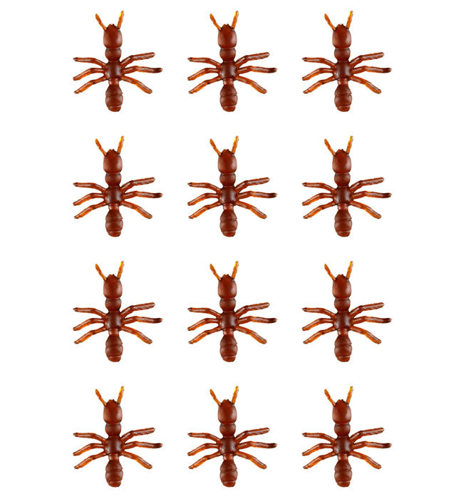 Set Of 12 Ants