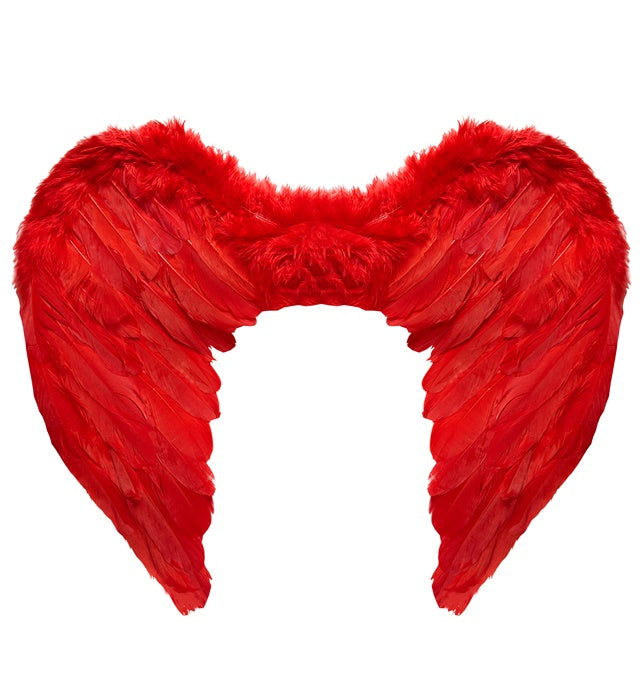 Red Feathered Wings 50X40 Cm