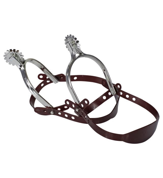 Pairs Of Silver Spurs