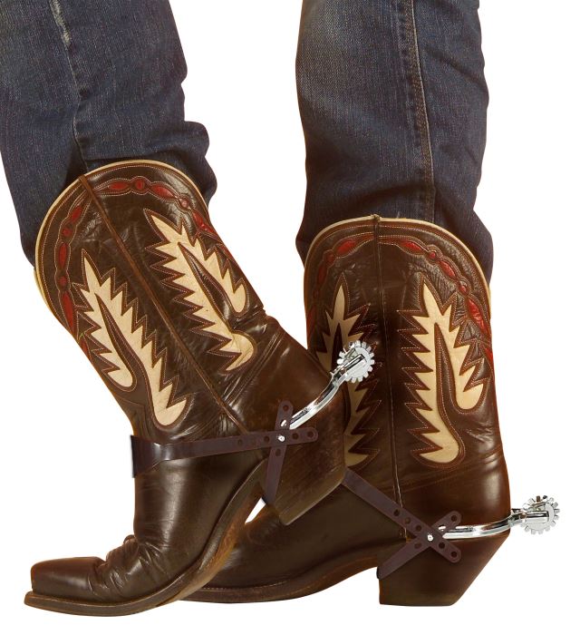 Pairs Of Silver Spurs