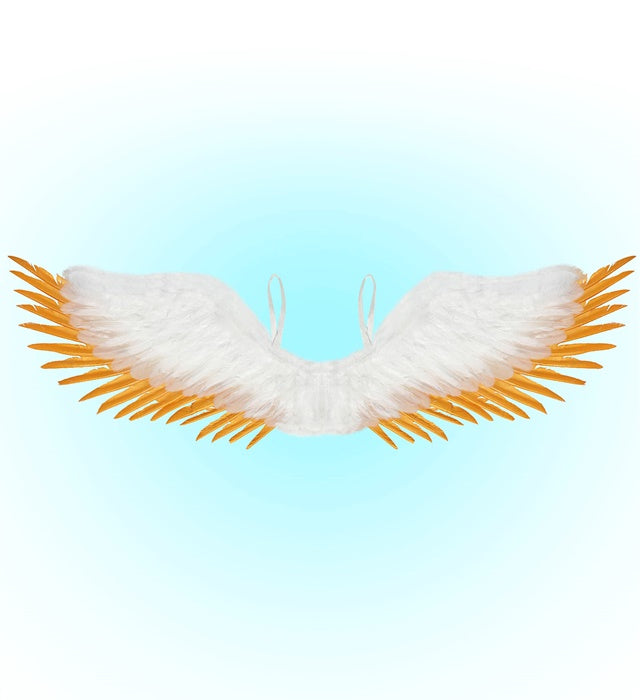 White & Gold Feathered Wings 100X25 Cm
