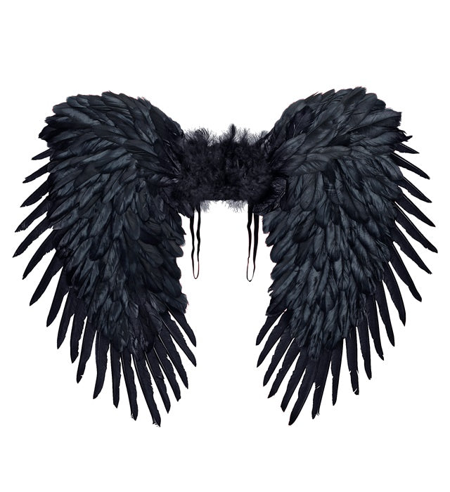 Black Feathered Wings 80X60 Cm