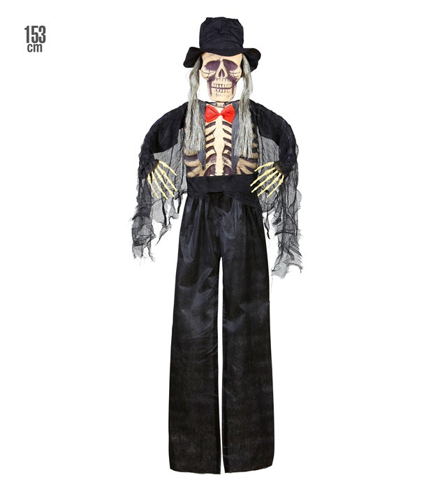 Groom Skeleton 153 Cm