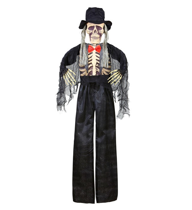 Groom Skeleton 153 Cm