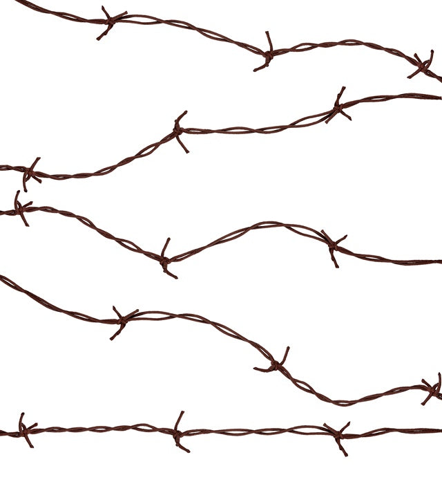 Barbed Wire 2,1 M