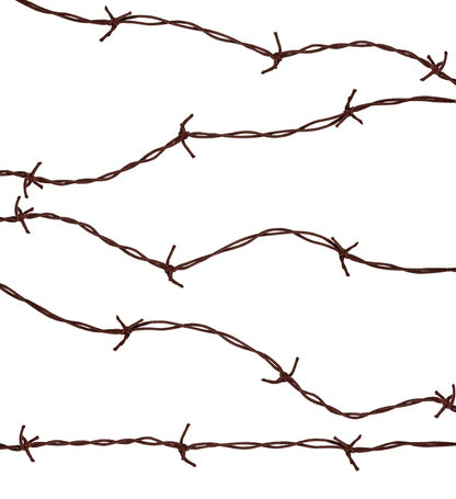 Barbed Wire 2,1 M