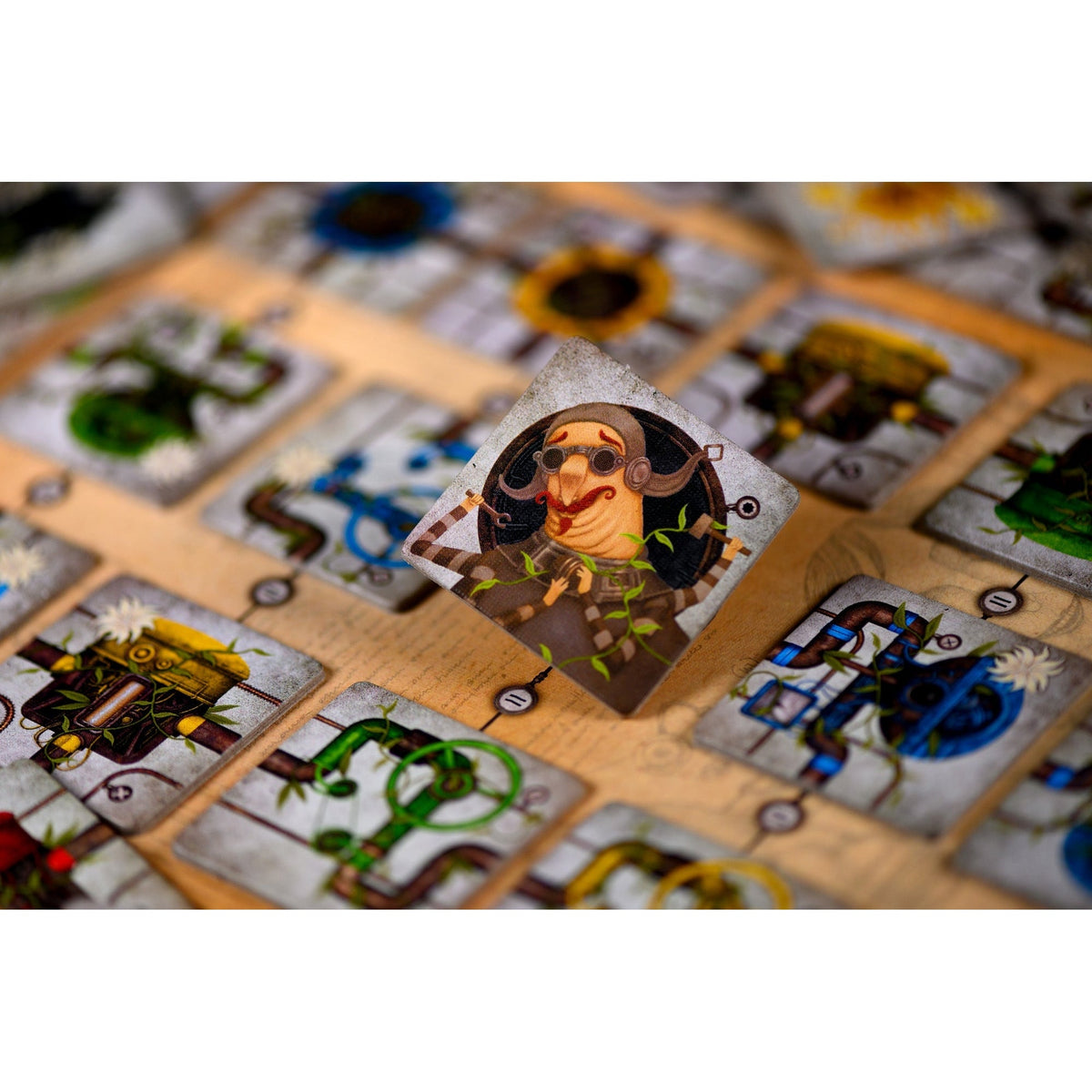 Botanik Fr En Board Game