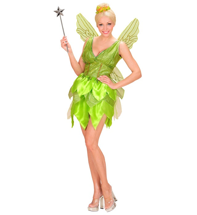 Fantasy Fairy  Dress, Wings 