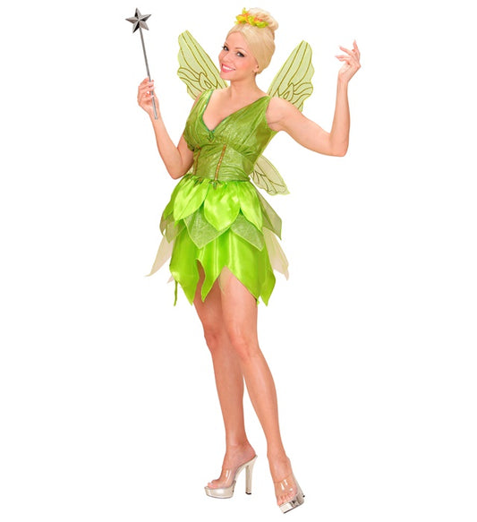 Fantasy Fairy  Dress, Wings 