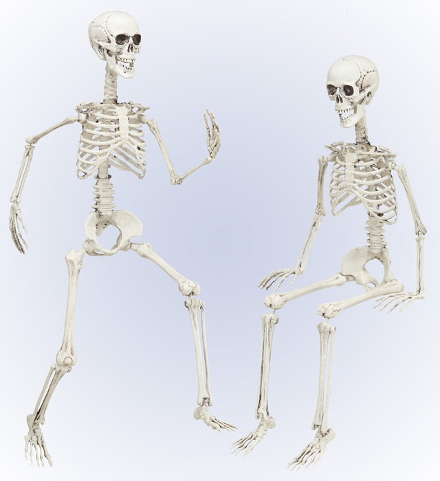 Posable Skeleton 90 Cm