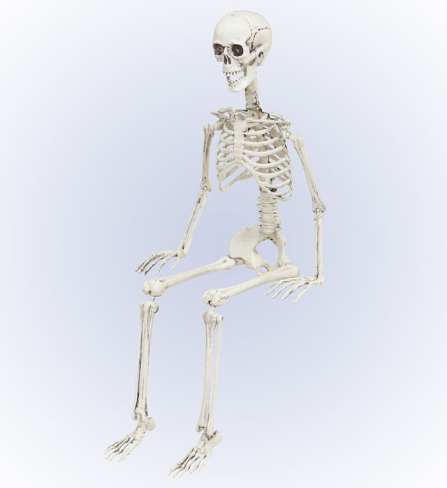 Posable Skeleton 90 Cm