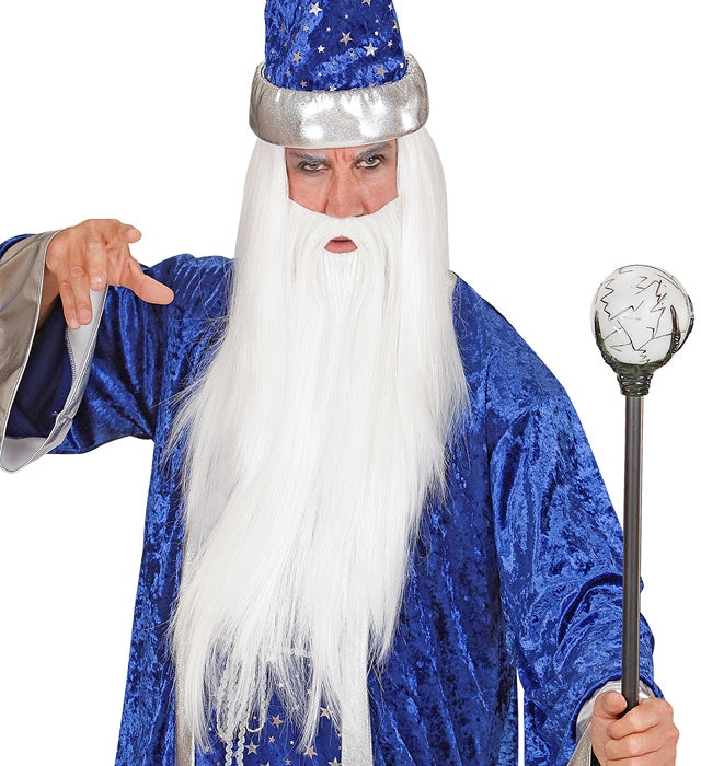 Wizard Wig & Beard In Polybag