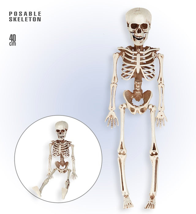 Posable Skeleton 40 Cm