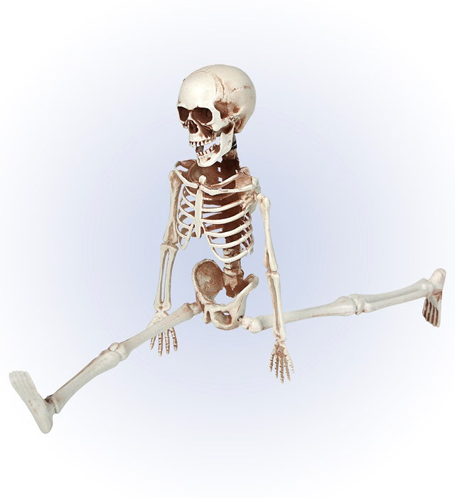 Posable Skeleton 40 Cm