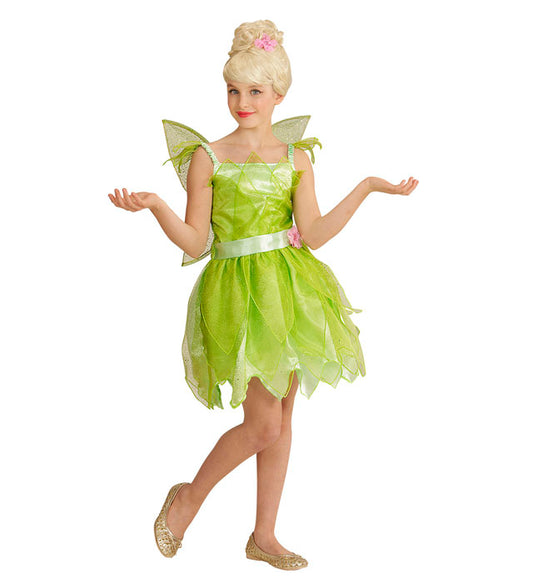 Fairy  Dress, Wings 