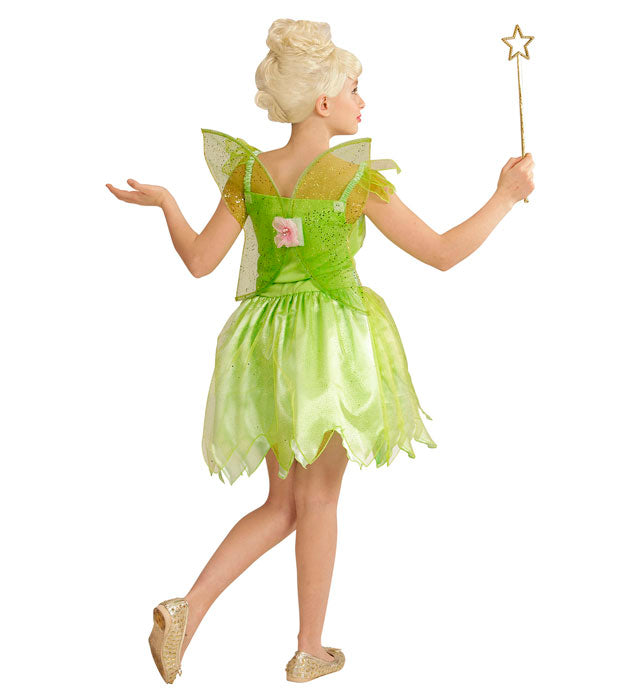 Fairy  Dress, Wings 