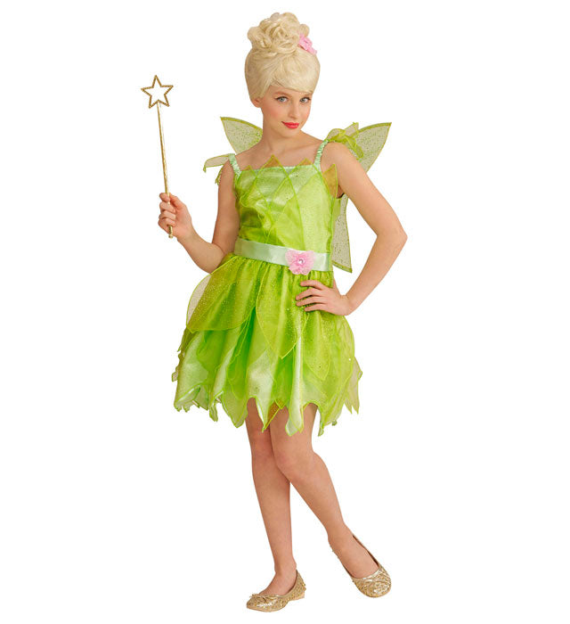 Fairy  Dress, Wings 