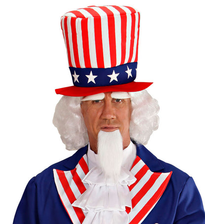 Mr. America Wig, Goatee Beard & Eye Brow In Box