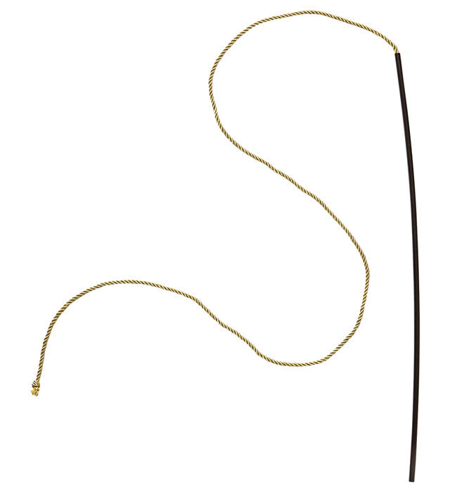 Tamer Whip