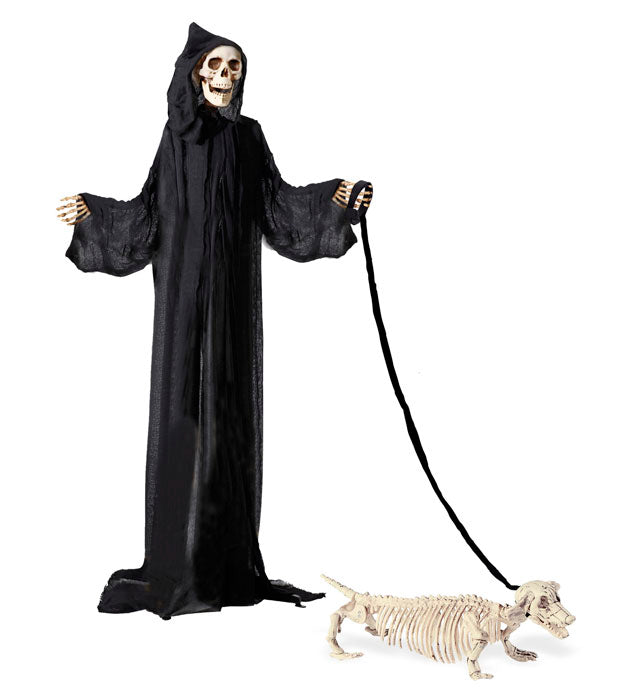 Dachshund Skeleton With Leash 55Cm