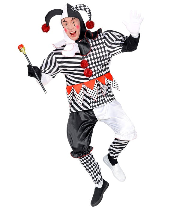 Harlequin  Coat, Pants, Headpiece, Gloves 