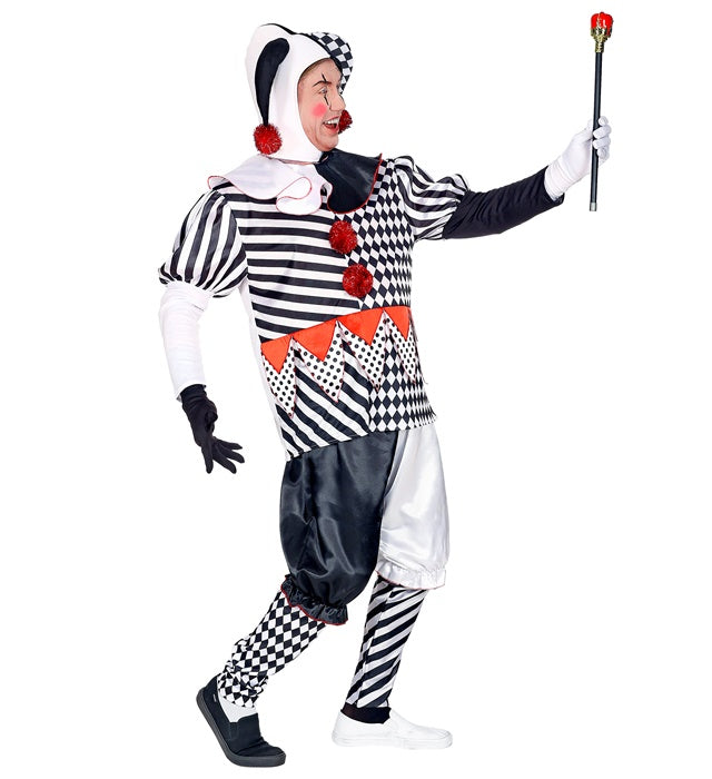 Harlequin  Coat, Pants, Headpiece, Gloves 