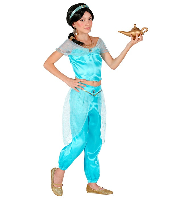 Arabian Princess  Top, Pants, Headband 