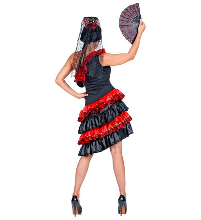 Spanish Senorita  Dress, Veil Headpiece 