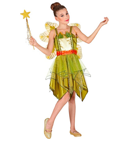 Forest Fairy  Dress, Wings 