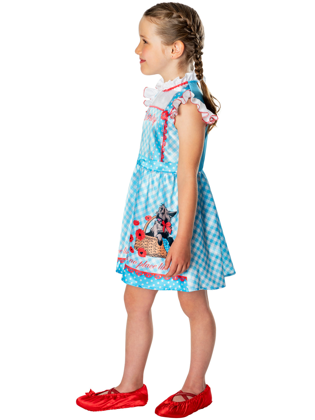 Dorothy Dress from The Wizard of Oz