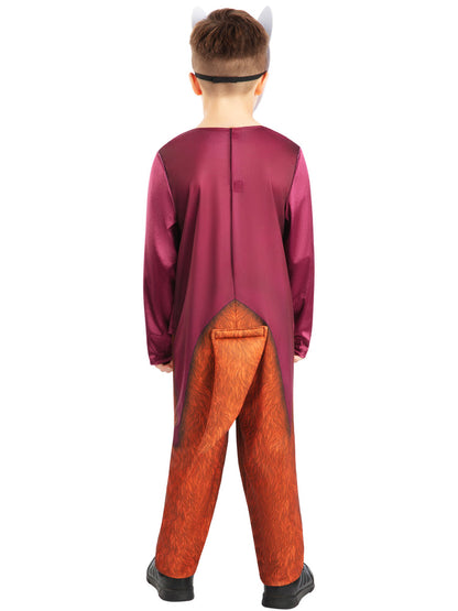 Fantastic Mr Fox Costume for Kids Book Day