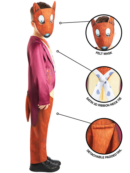 Fantastic Mr Fox Costume for Kids Book Day