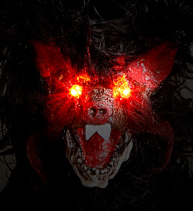 Furry Bat With Intermittent Blinking Led Light Eyes 89 Cm 