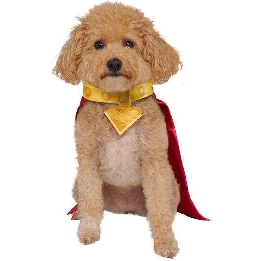 DC Superman Movie Krypto Pet Cape with Collar 1