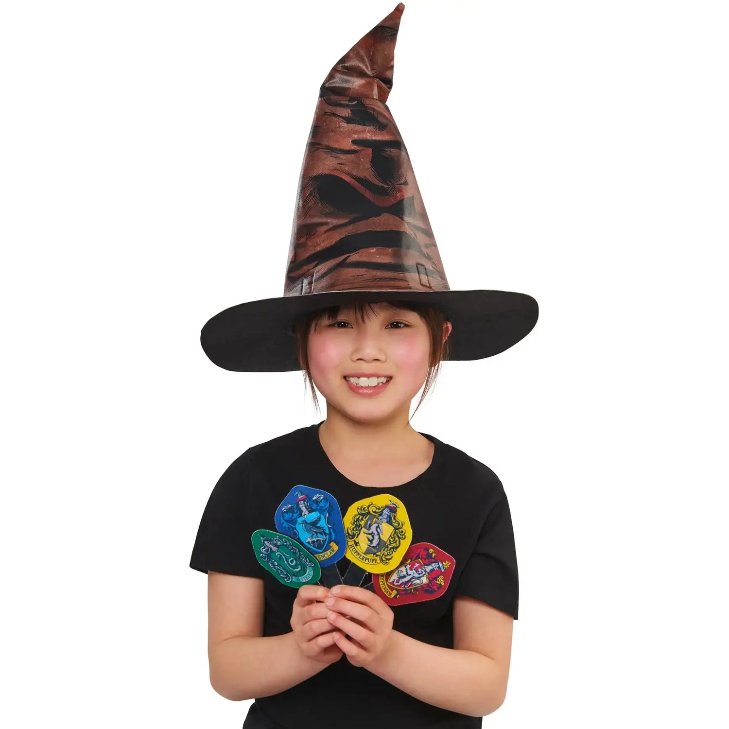 Harry Potter Hogwarts Sorting Hat 1