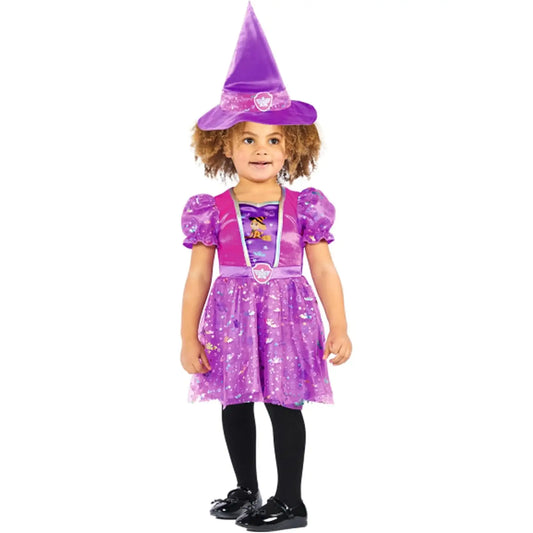 Paw Patrol Skye Witch Costume Dress for Girls 1