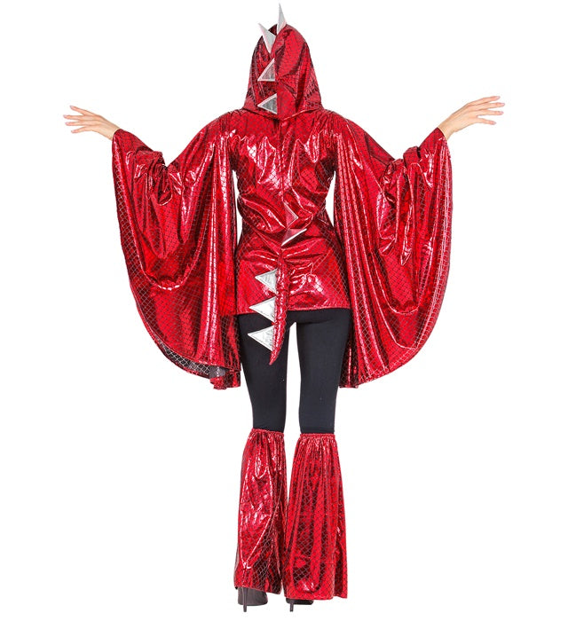 Dragon  Hooded Winged Shirt, Leg Warmers 