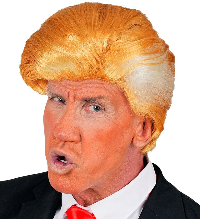 Wig Mr. President In Box