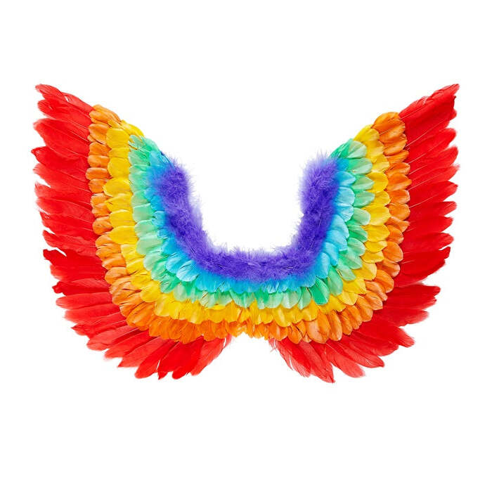 Rainbow Feathered Wings 60X40 Cm
