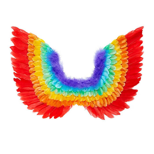 Rainbow Feathered Wings 60X40 Cm
