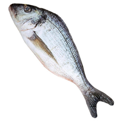 Fish 55 Cm