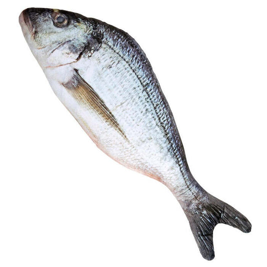 Fish 55 Cm