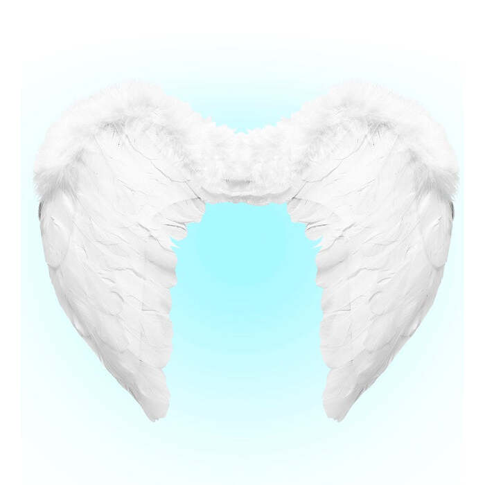White Feather Wings 50X40 Cm