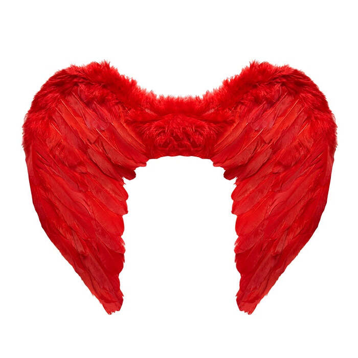 Red Feathered Wings 50X40 Cm