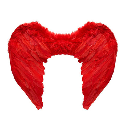 Red Feathered Wings 50X40 Cm