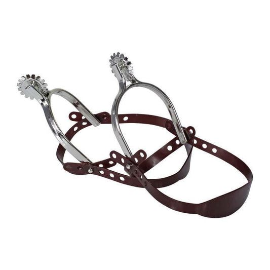 Pairs Of Silver Spurs