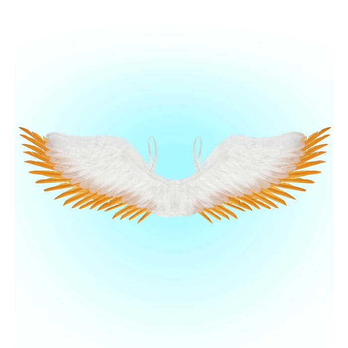 White & Gold Feathered Wings 100X25 Cm