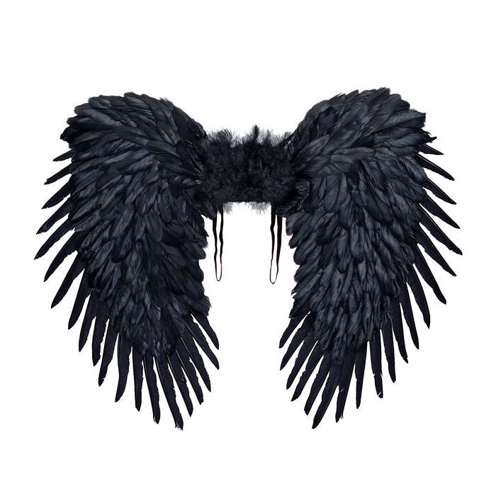 Black Feathered Wings 80X60 Cm