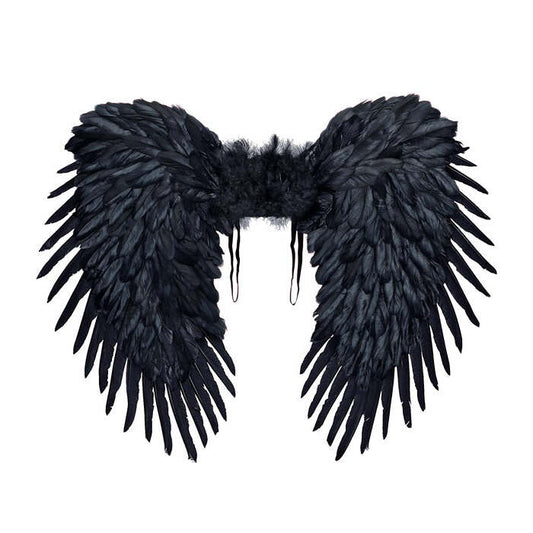 Black Feathered Wings 80X60 Cm